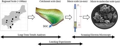 Drivers of Dissolved Organic Carbon Mobilization From Forested Headwater Catchments: A Multi Scaled Approach